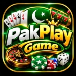 PakPlay game app showing online games to play in Pakistan